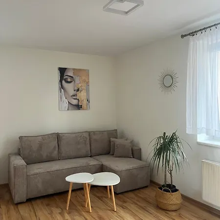 Przestronne Mieszkanie Apartment *